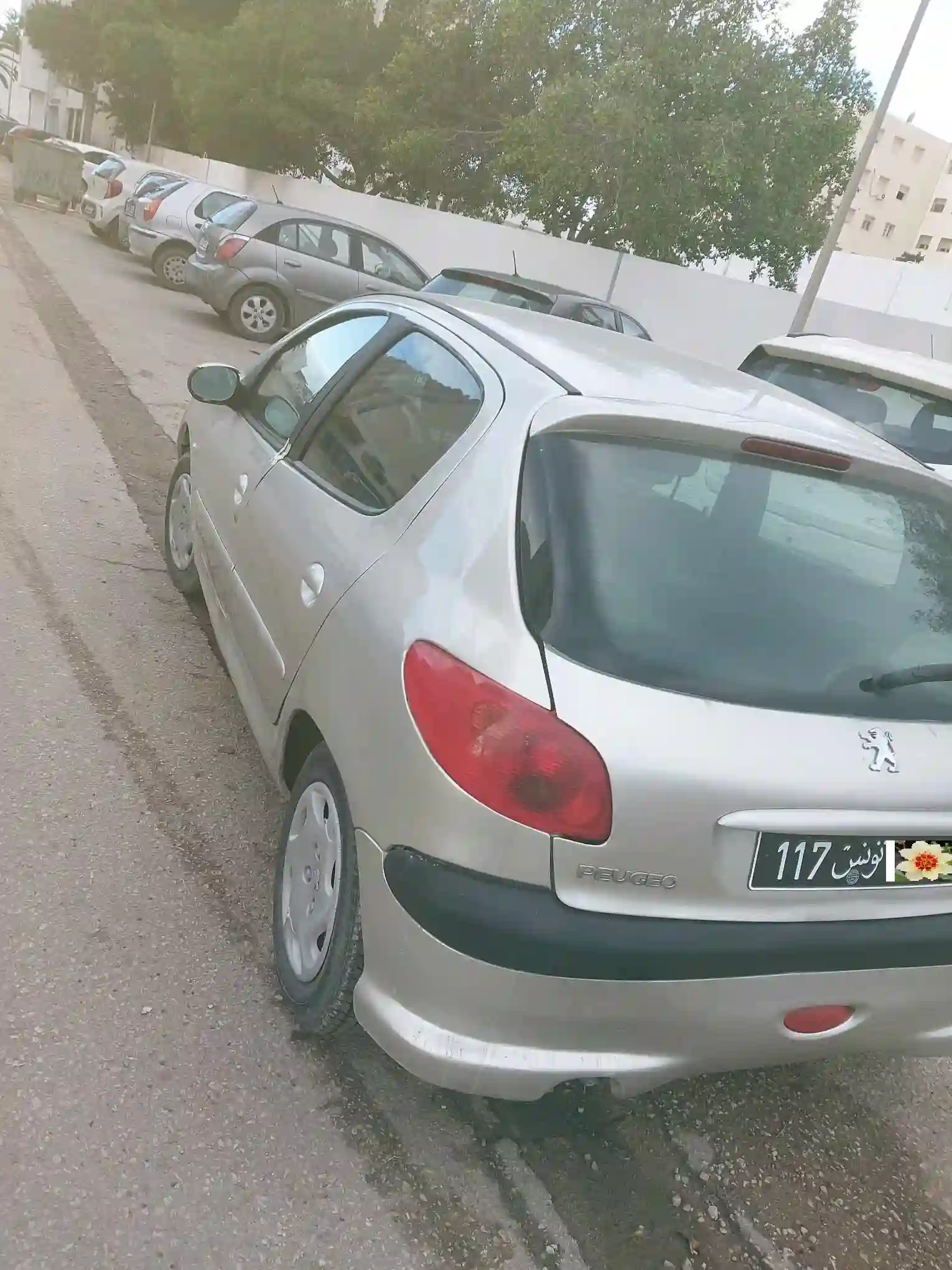 Av Peugeot 206 à El Mourouj0