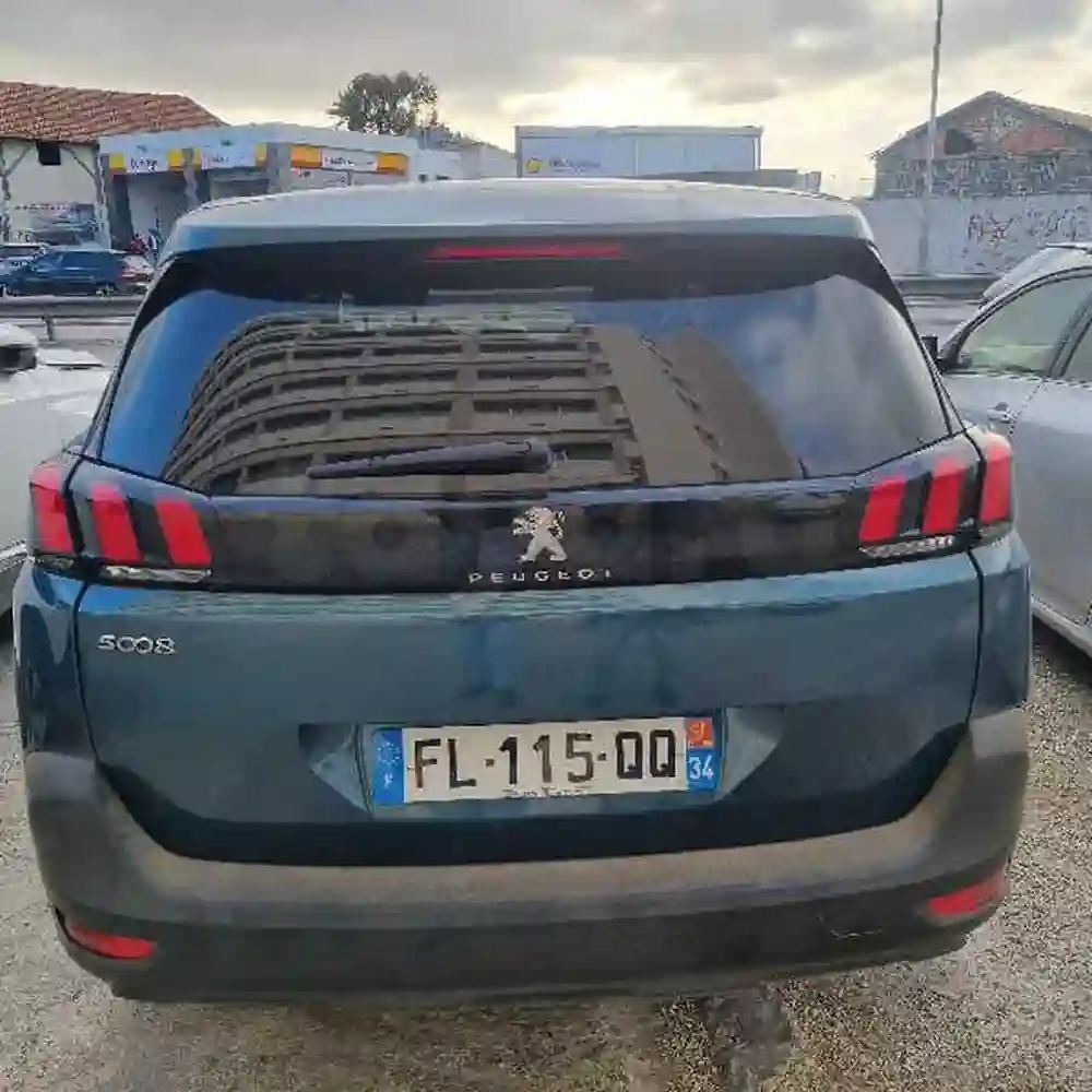 Peugeot 50080