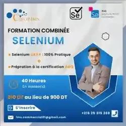 Formation Pratique Selenium Java A4Q et Selenium Python