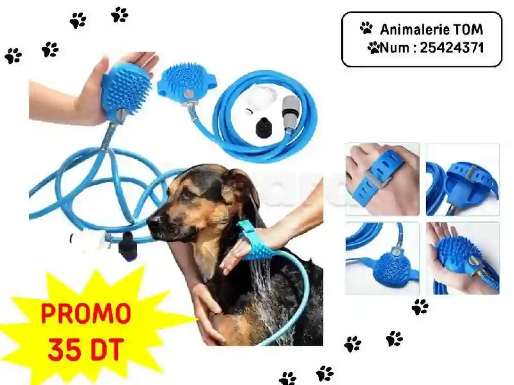Accessoires Pour Animaux Chat et Chien - Vue 1