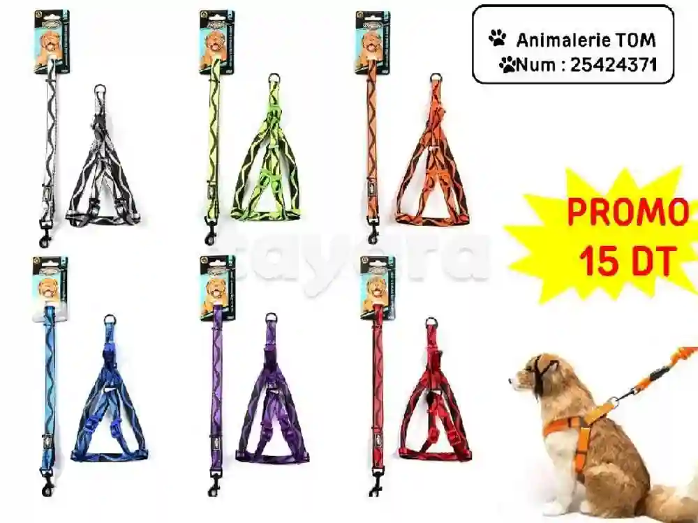 Accessoires Pour Animaux Chat et Chien - Vue 3