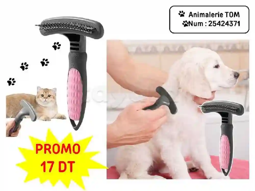 Accessoires Pour Animaux Chat et Chien - Vue 4
