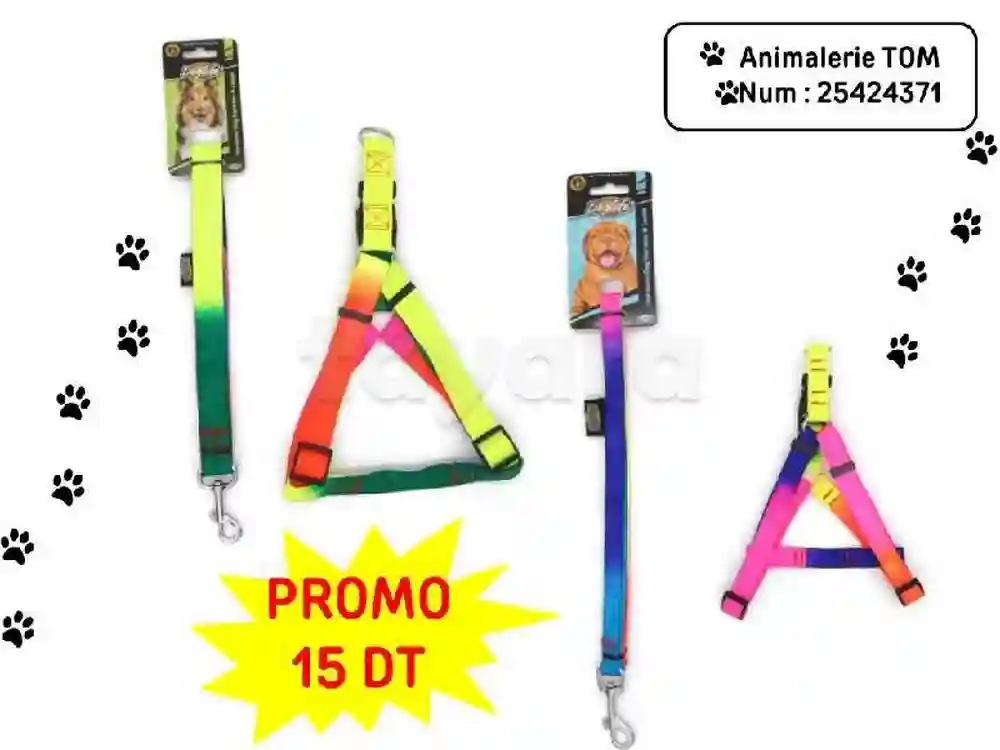 Accessoires Pour Animaux Chat et Chien - Vue 5