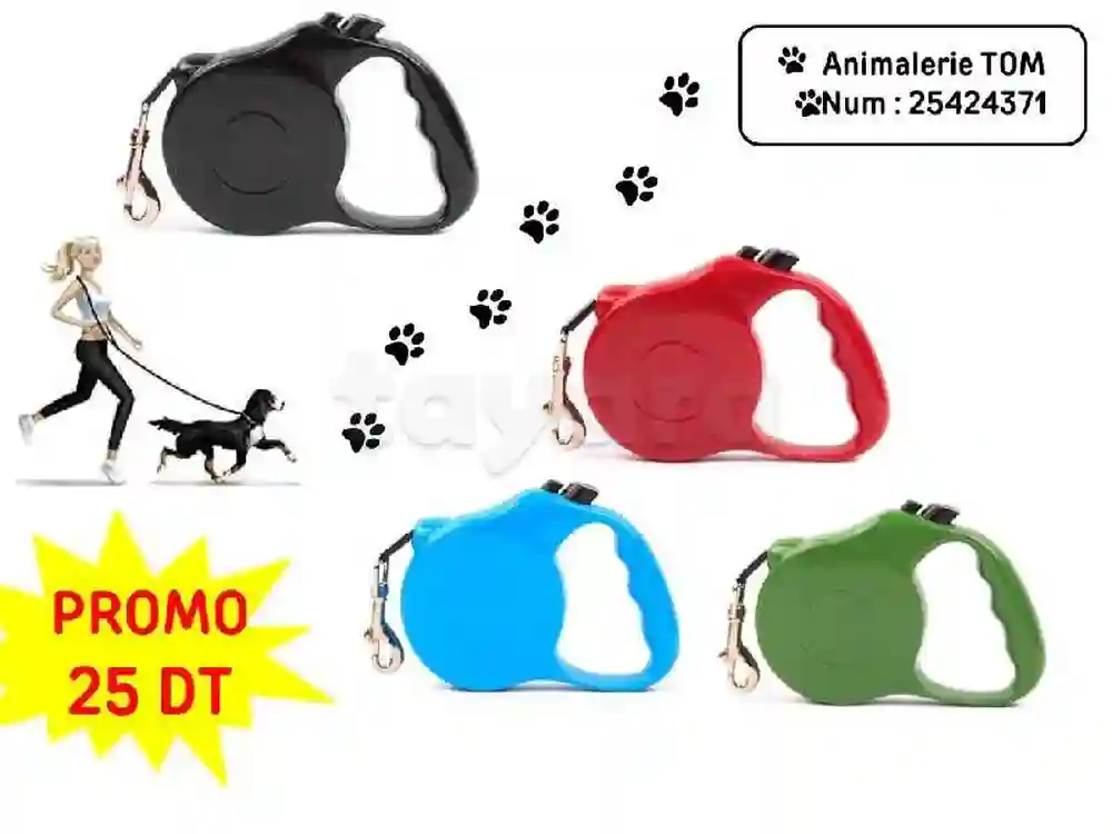 Accessoires Pour Animaux Chat et Chien - Vue 6