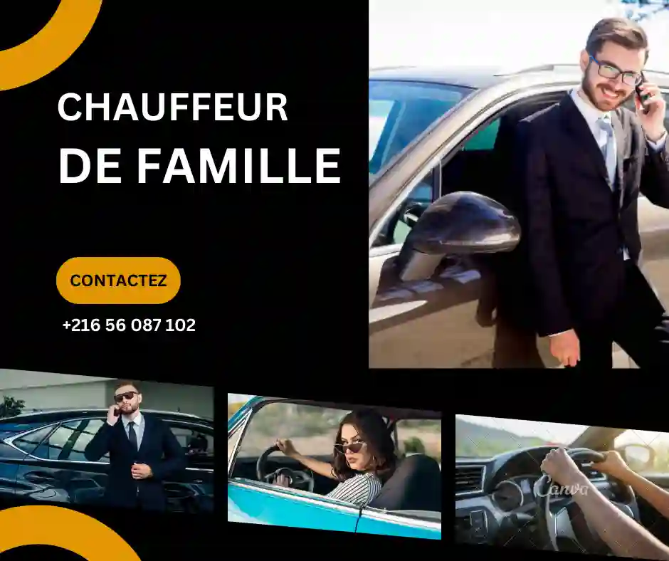 Vous cherchez Un chauffeur de famille par Mois? 