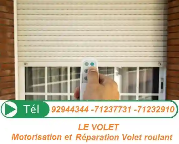 Entretien Urgence Dépannage le Volet à Ariana Ville - Vue 1