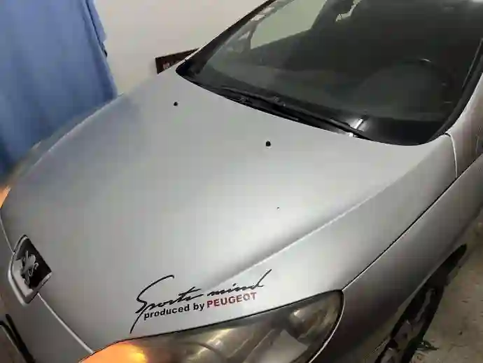 Peugeot 407 Tres Tres Bonne Etat0