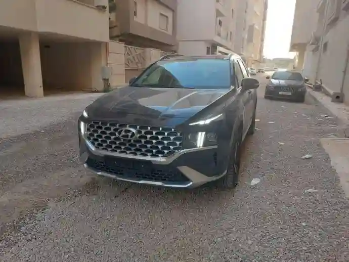Hyundai Santa Fe 2022 - Vue 1