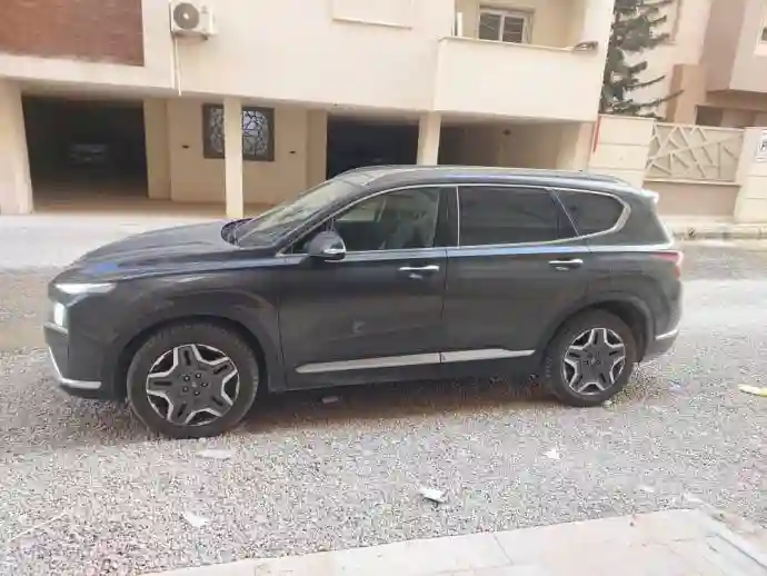 Hyundai Santa Fe 2022 - Vue 2