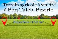 Terrain Agricole Titré