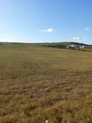 Av 6 Hectares sur la Route Entre Bouficha et Zaghouan