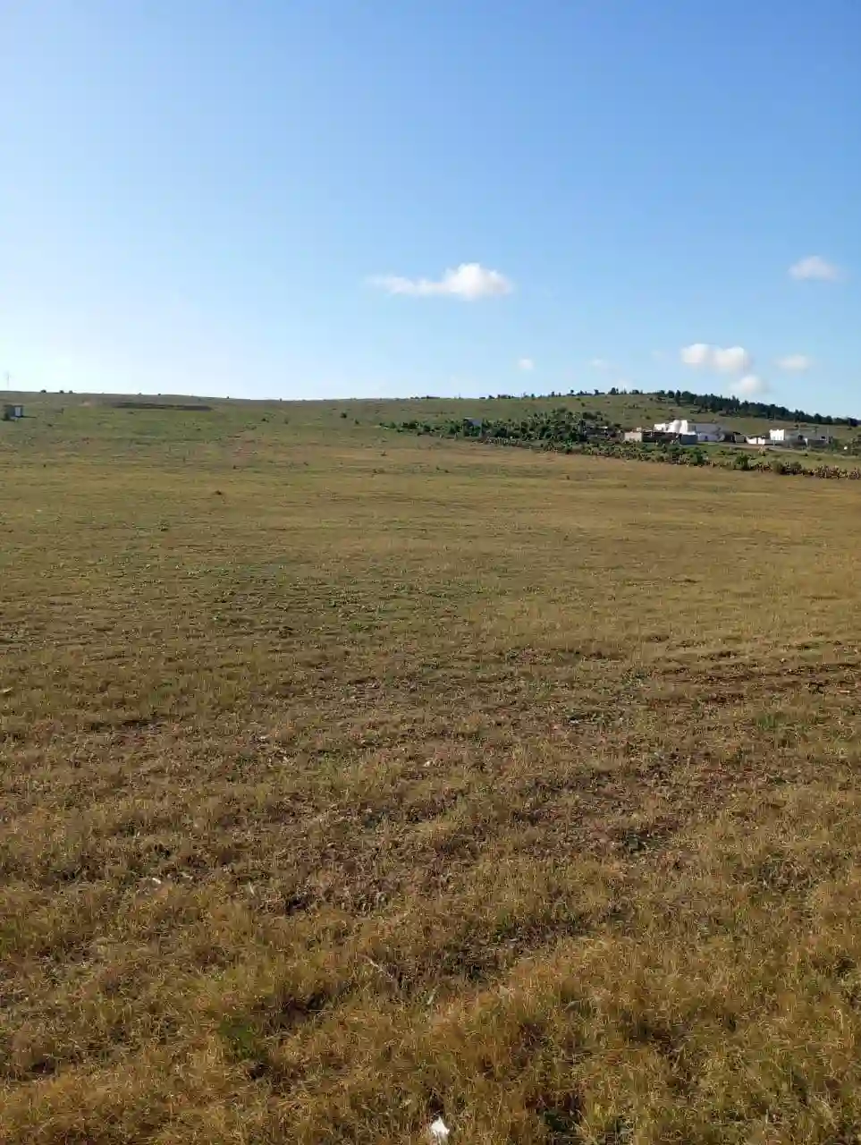 Av 6 Hectares sur la Route Entre Bouficha et Zaghouan0