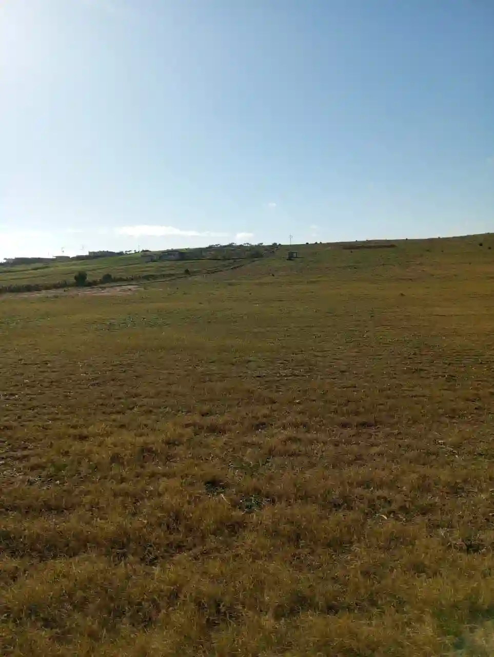 Av Terrain 6 Hectares Avec Sondage sur la Route à Zaghouan0