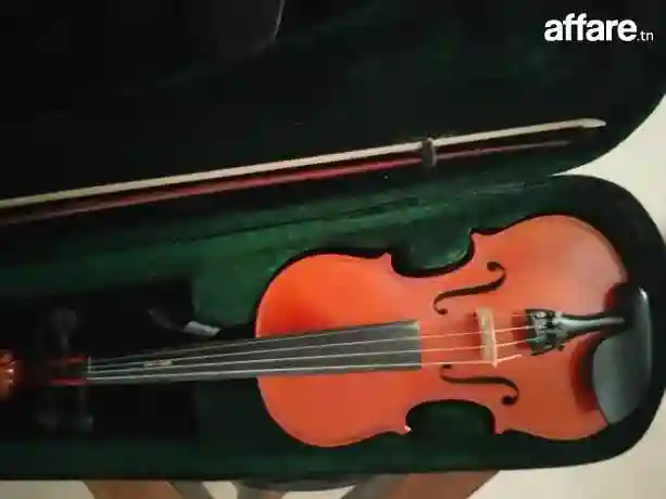 Violon Occasion - Vue 2