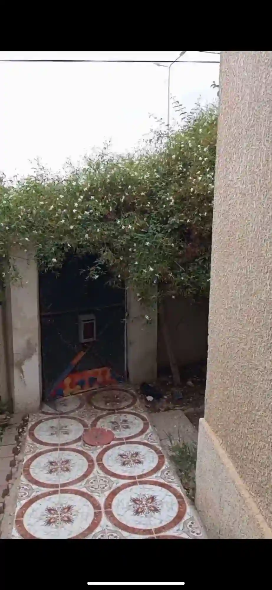 A Vendre Maison Avec Jardin a Manouba0