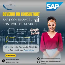 Formation SAP Fico