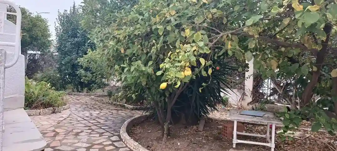 Villa à Rénover au Mutuelle Ville à Mutuelle Ville - Vue 1