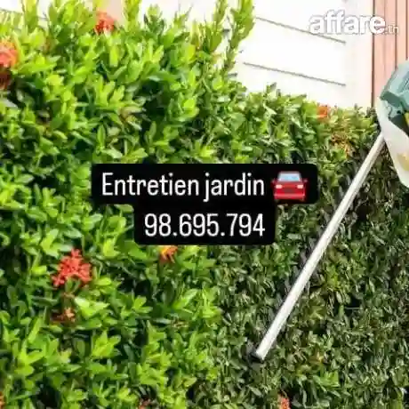21226774 Décoration Jardin et Plantation Gazon Naturelle Tun - Vue 8