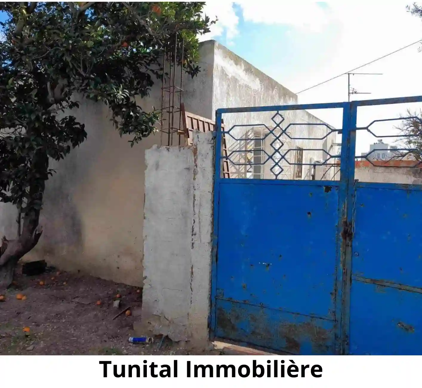 La Soukra Sidi Fraj Studio à Retaper ou à Raser à Sidi Frej - Vue 2