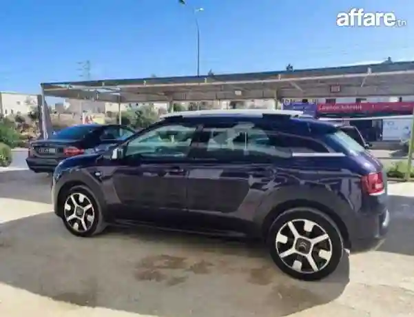 C4 Cactus - Vue 1