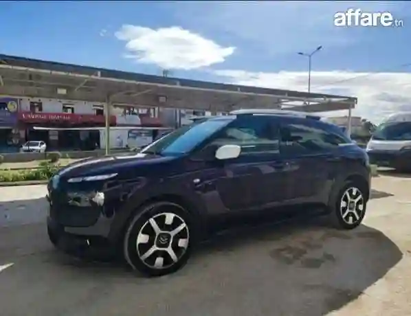 C4 Cactus - Vue 3