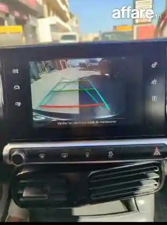C4 Cactus - Vue 4