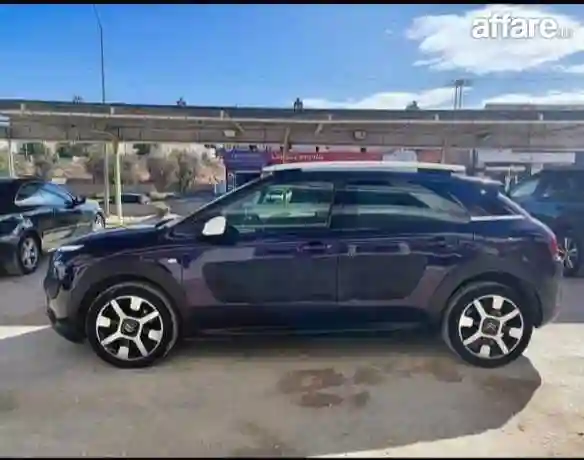 C4 Cactus - Vue 5