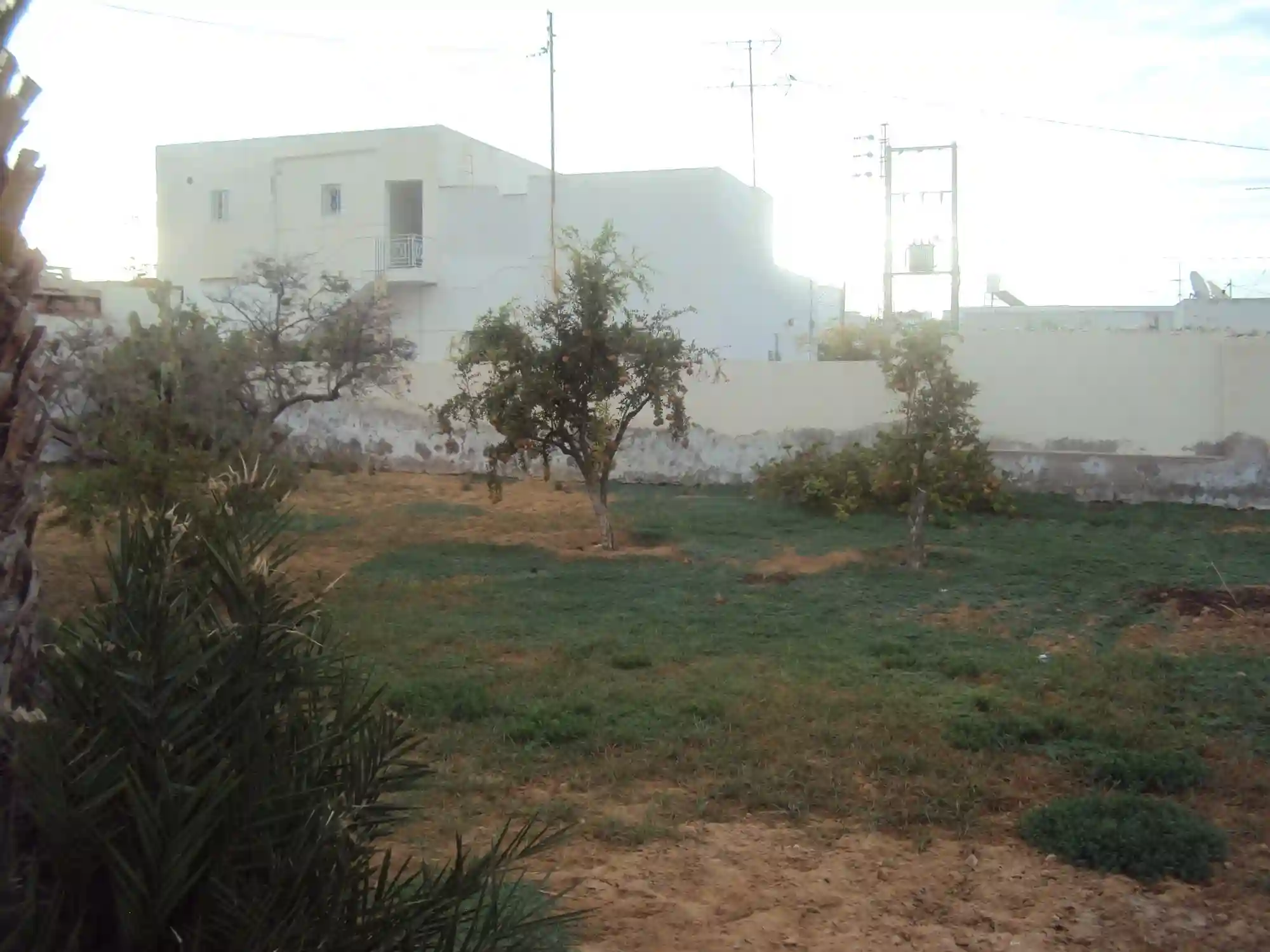 Terrain de 1737 m² Route el ain km - Vue 3