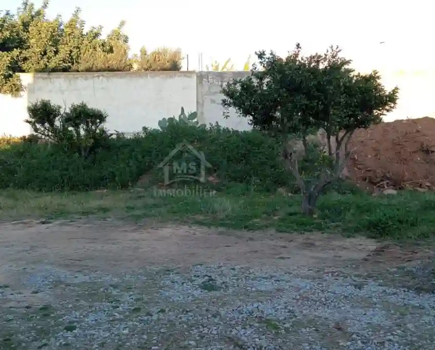 Un lot de Terrain de 500 m² à Hammamet à Vendre 51355351 - Vue 2