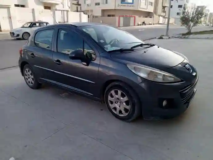 207 Peugeot - Vue 5