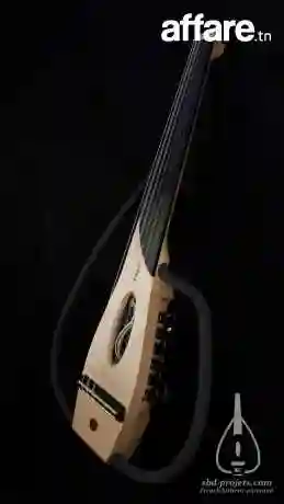 oud Electrique - Vue 2