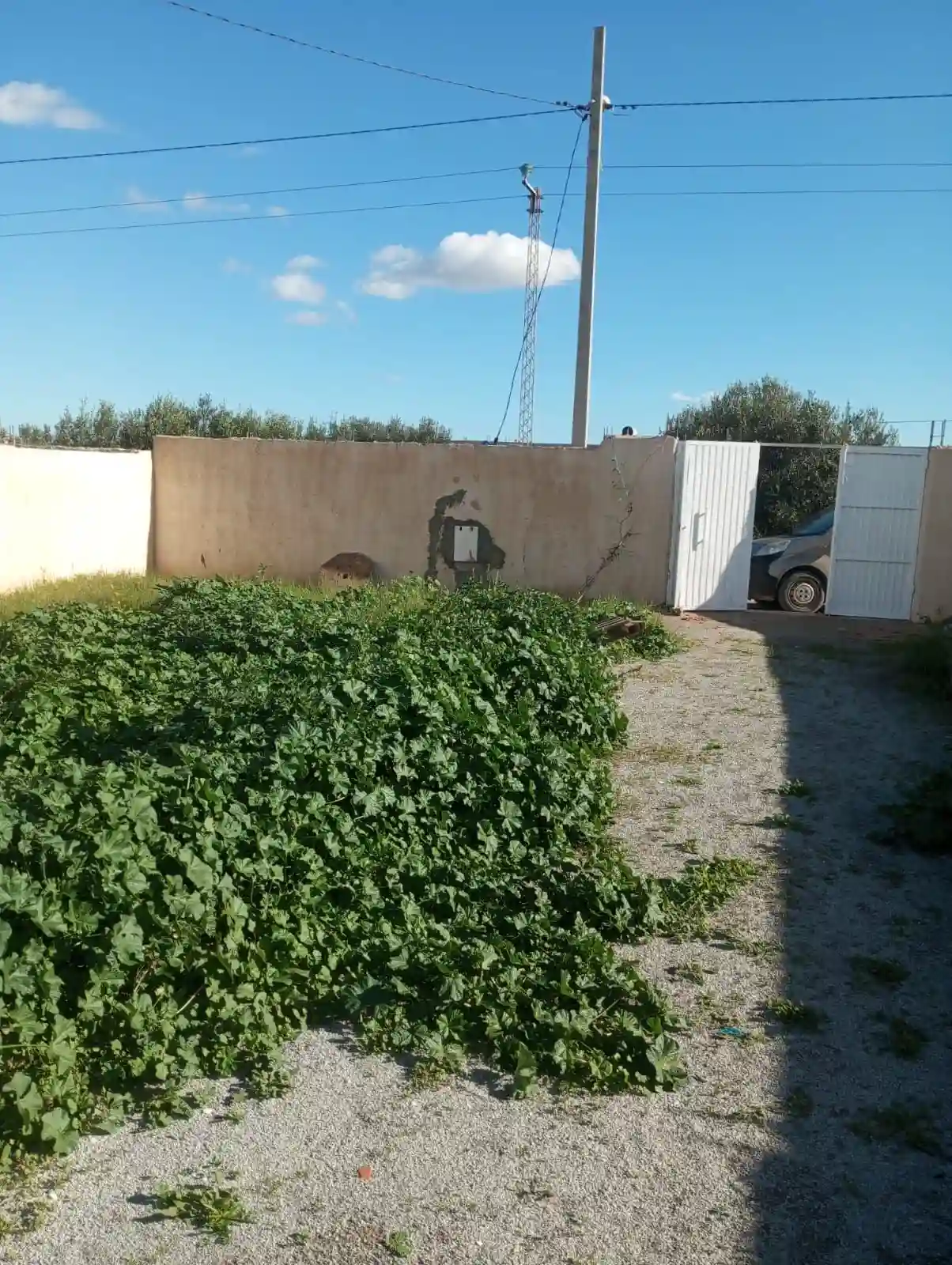 Av Studio Avec Jardin de 780m à Zaghouan - Vue 3