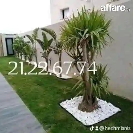 21226774 Vente et Installation Gazon Naturelle 🔥 Américain - Vue 9