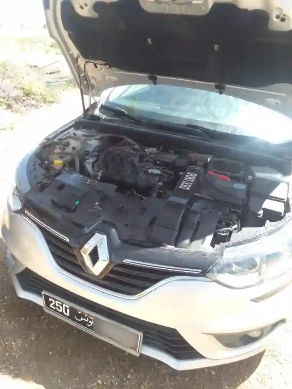 Renault Megane Essence 2019 - Vue 2