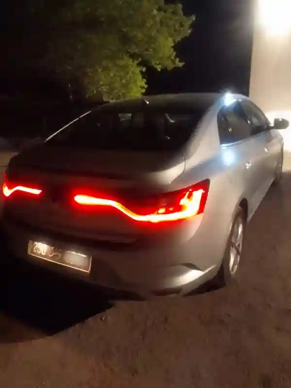 Renault Megane Essence 2019 - Vue 6