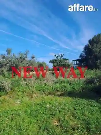 Terrain à Koussour Gharnata Chatt Mariem sur un Axe Principa - Vue 2