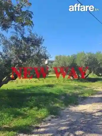 Terrain à Koussour Gharnata Chatt Mariem sur un Axe Principa - Vue 5