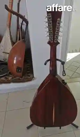 Luth Electro Acoustique - Vue 3