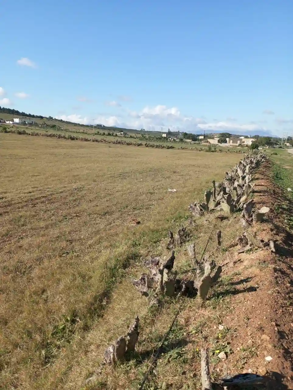 Av 6 Hectares sur la Route à Zaghouan - Vue 2