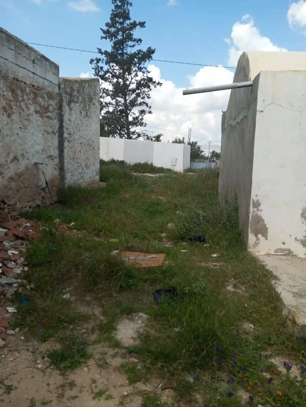 Av Maison Arabe 250m à 30md à Zaghouan - Vue 2