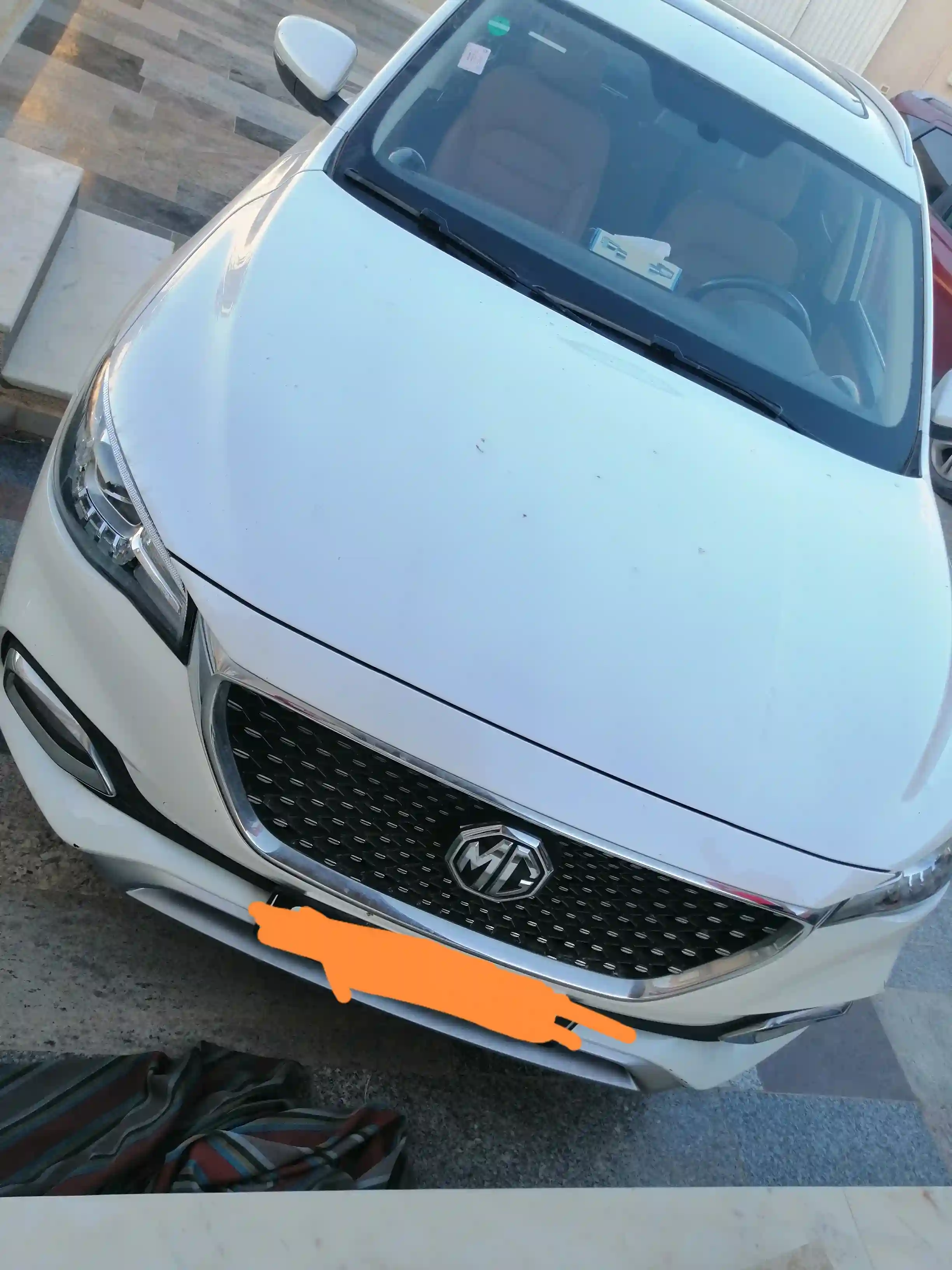 Mg Hs - Vue 1