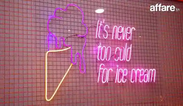 Freezy Ice Cream (projet Clés en Main ) a Vendre - Vue 6