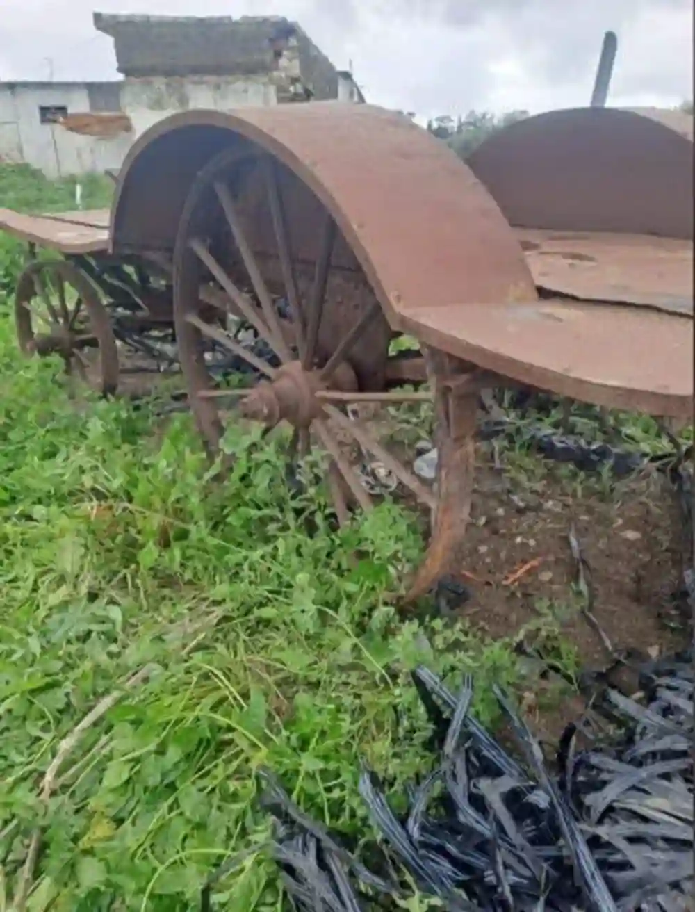Chariot Wagon en fer - Vue 2