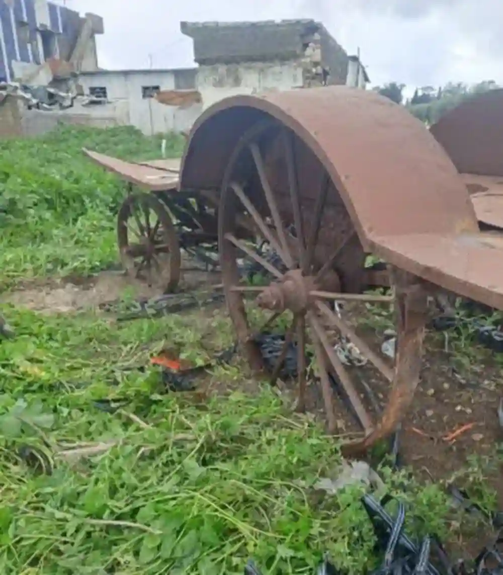 Chariot Wagon en fer - Vue 3
