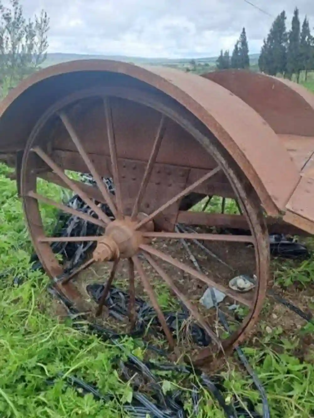 Chariot Wagon en fer - Vue 4