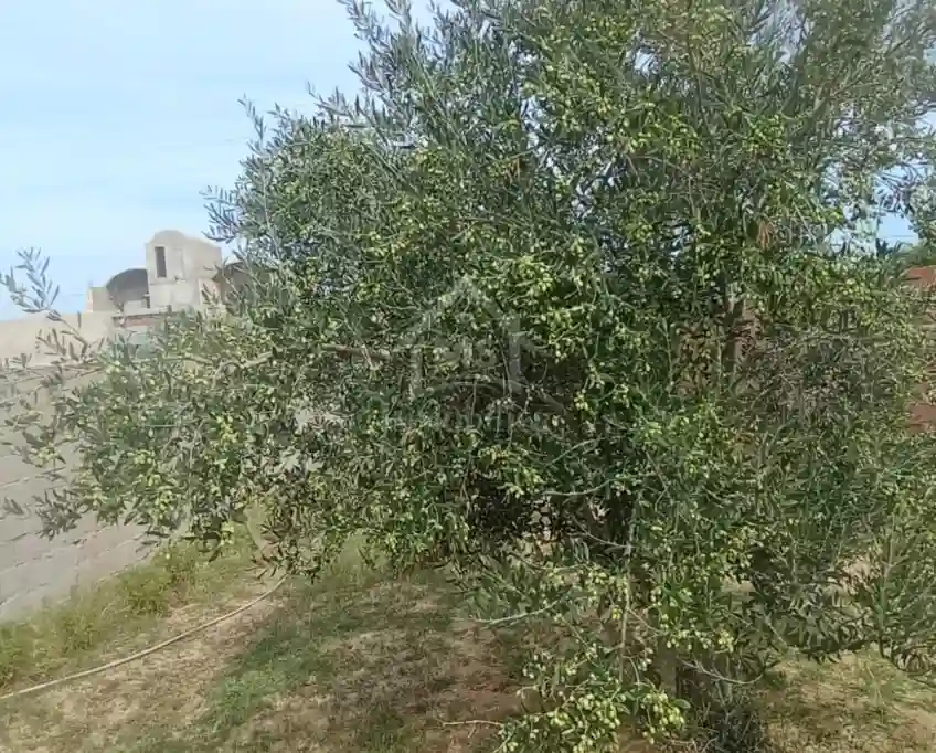 Terrain Avec Studio à Birbouragba à Vendre à 85 md 51355351 - Vue 2