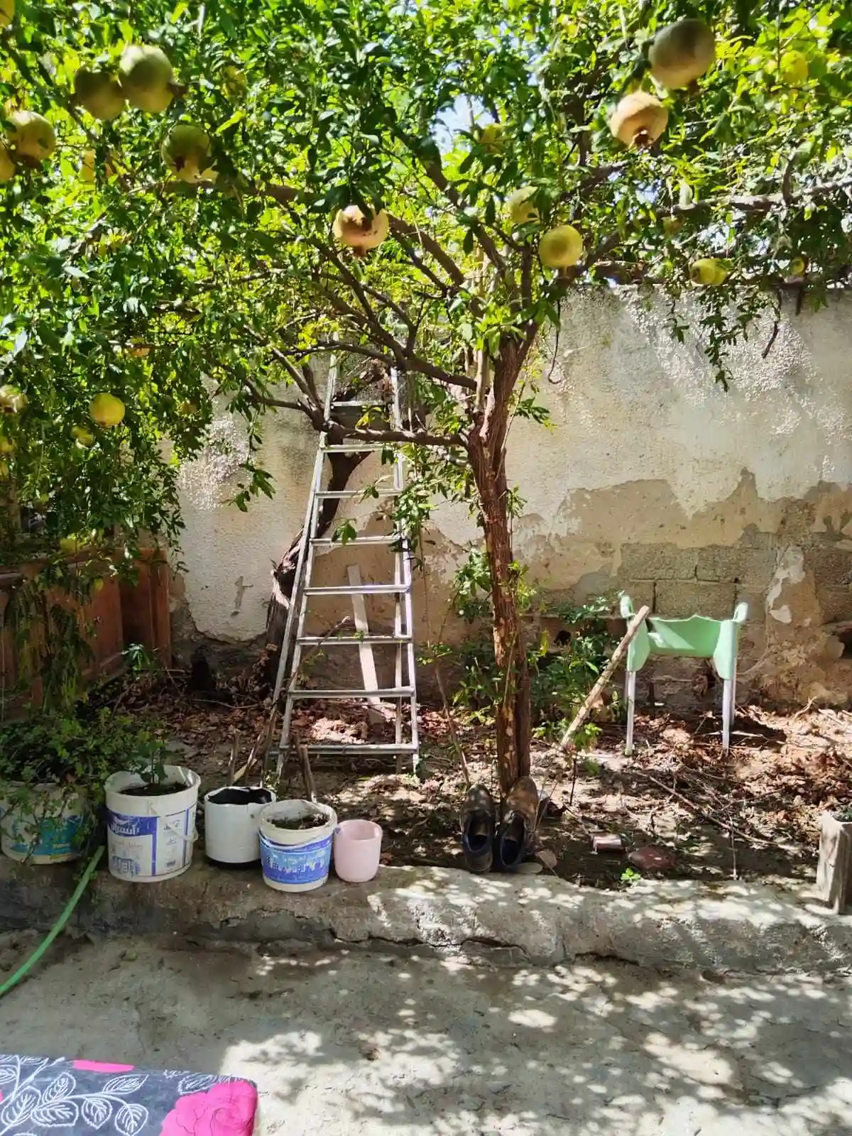 Maison Stade ben Arous à Ben Arous - Vue 2