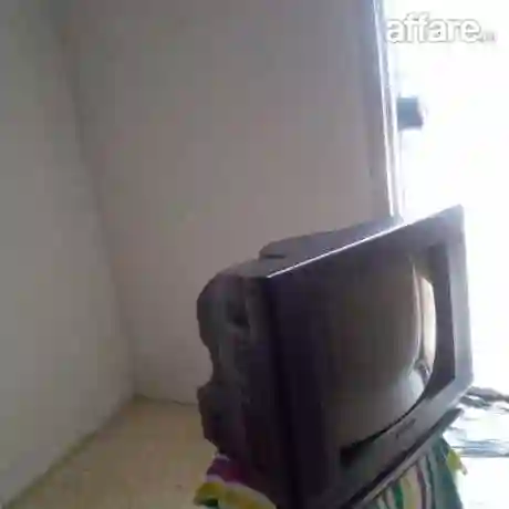 TV a Vendre a 100 DT Prix Negociable - Vue 1