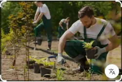 Je Cherche un Emploi Chauffeur et Jardinier