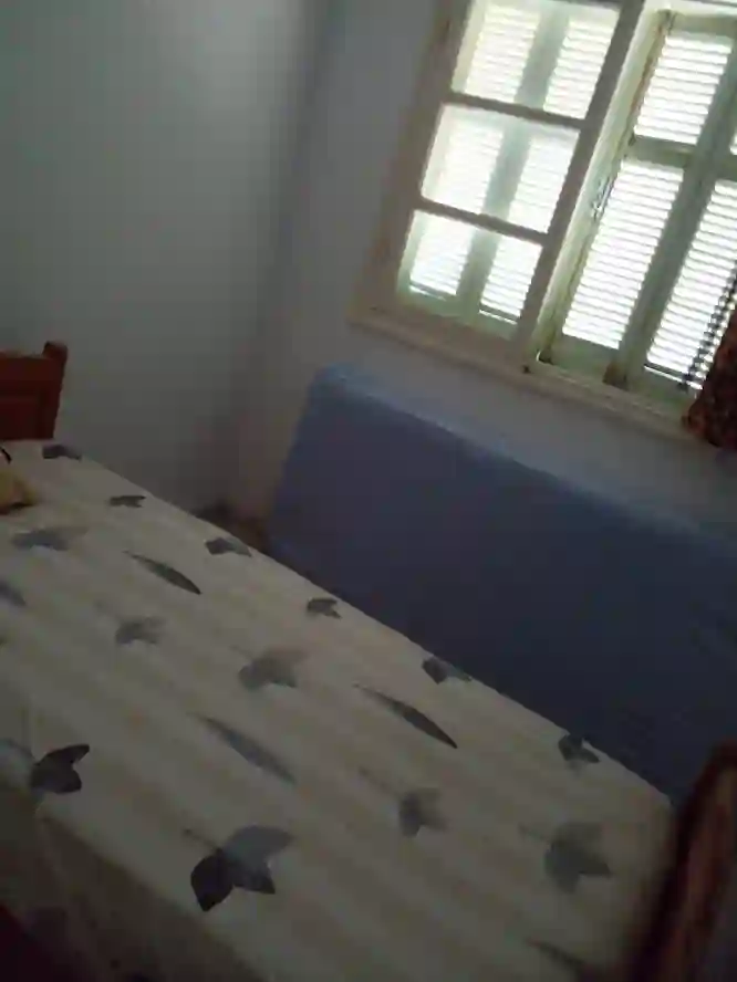 A ne pas Rater à Borj Louzir